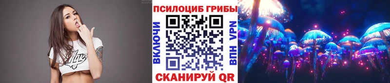 купить  сайты  Березники  Псилоцибиновые грибы мицелий 