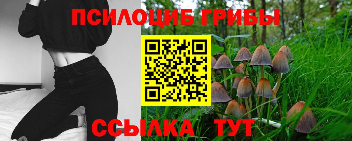 сколько стоит  Галлюциногенные грибы мухоморы  Березники  Вход с VPN  Псилоцибиновые грибы мицелий 